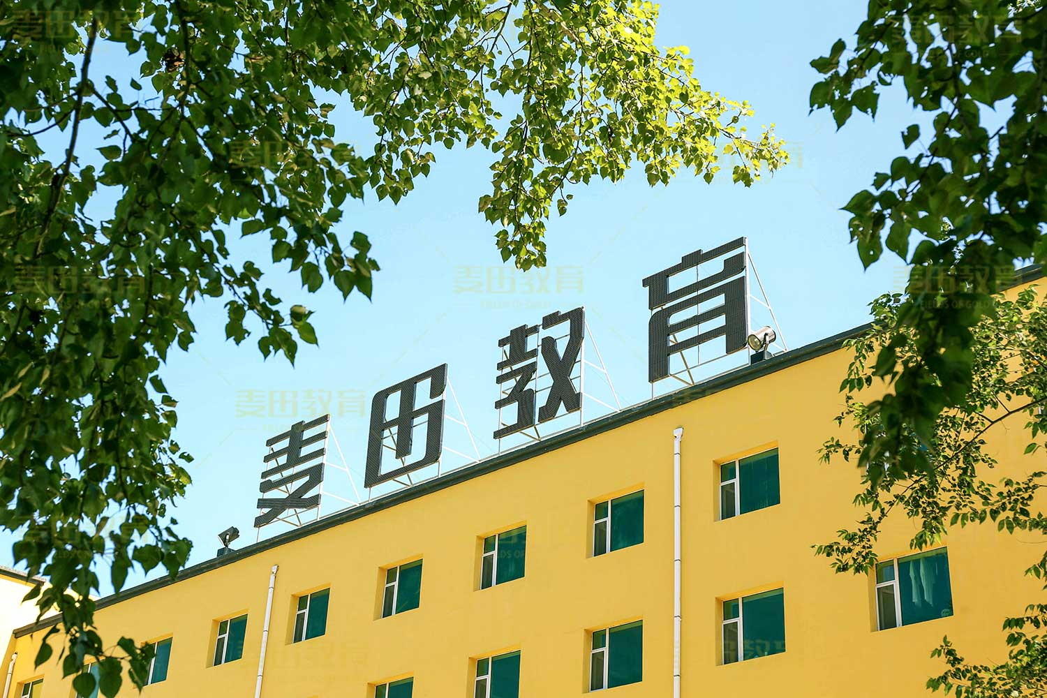 长春艺考文化课集训学校麦田学校